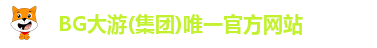 BG大游